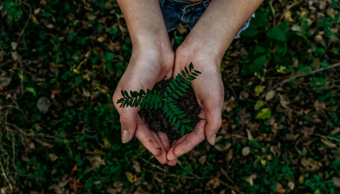 The Eco Way Educative Toys Their Environmental Impact
