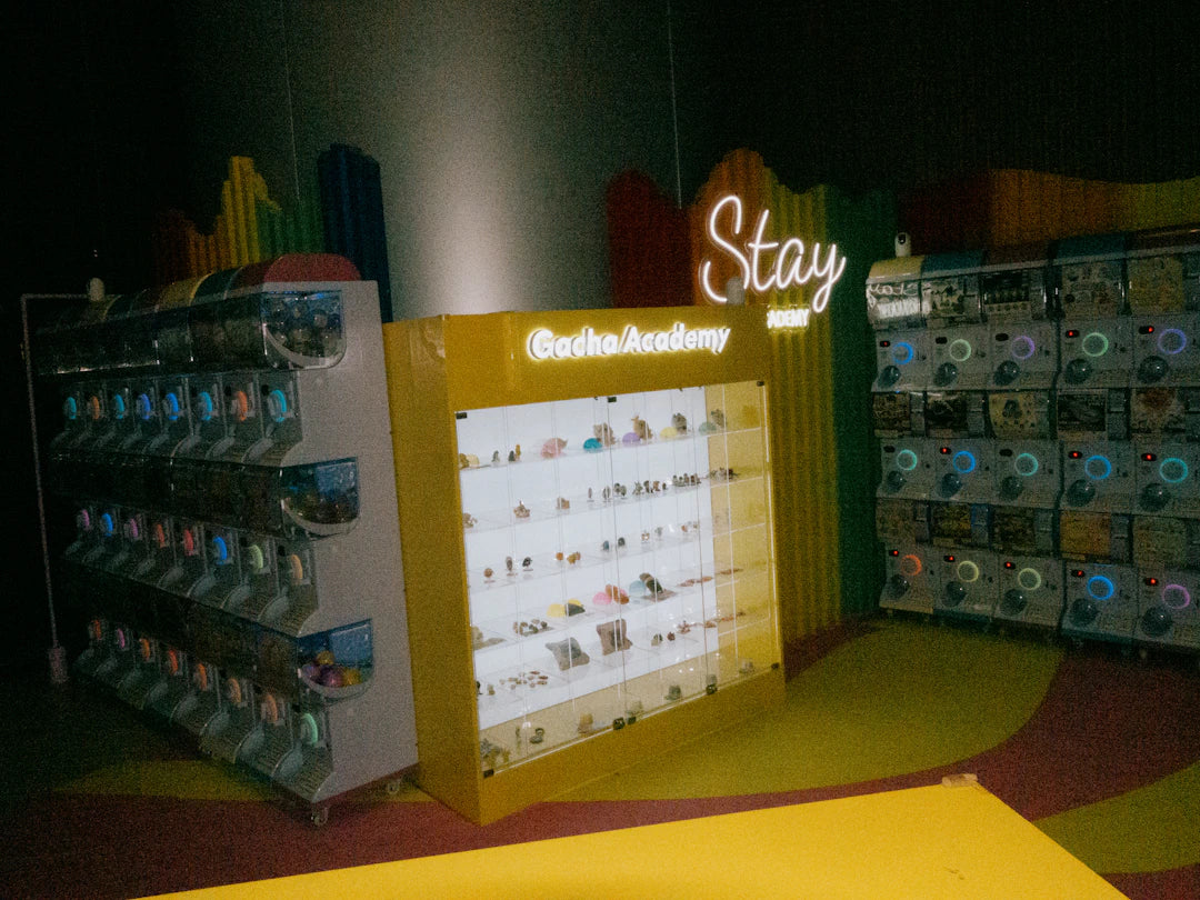 Crafting an Inspiring Learning Environment with Toys