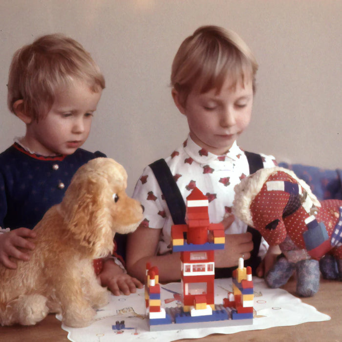 Collaborative Play Teamwork Through Engaging Toys