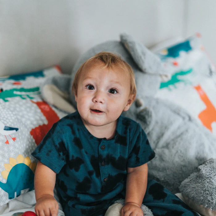 The Role of Parents in Educative Toy Play