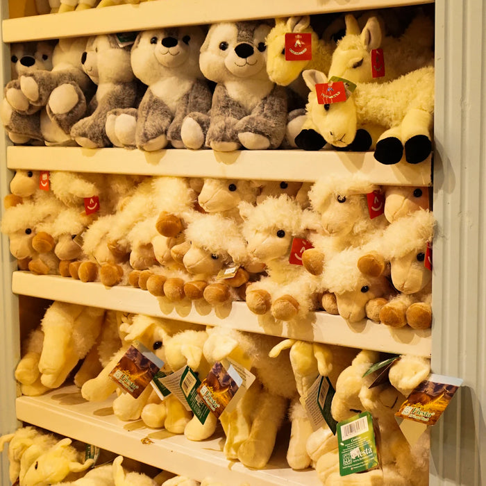 Choosing the Best Educative Toys for Your Child