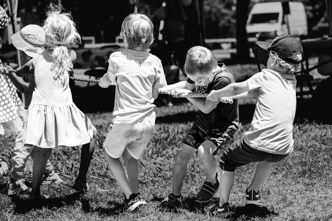 Collaborative Learning Fostering Teamwork through Play