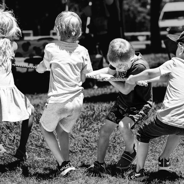 Collaborative Learning Fostering Teamwork through Play
