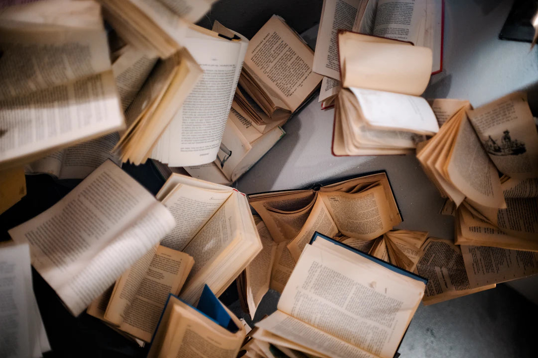 Engaging Educational Books to Ignite Curious Minds