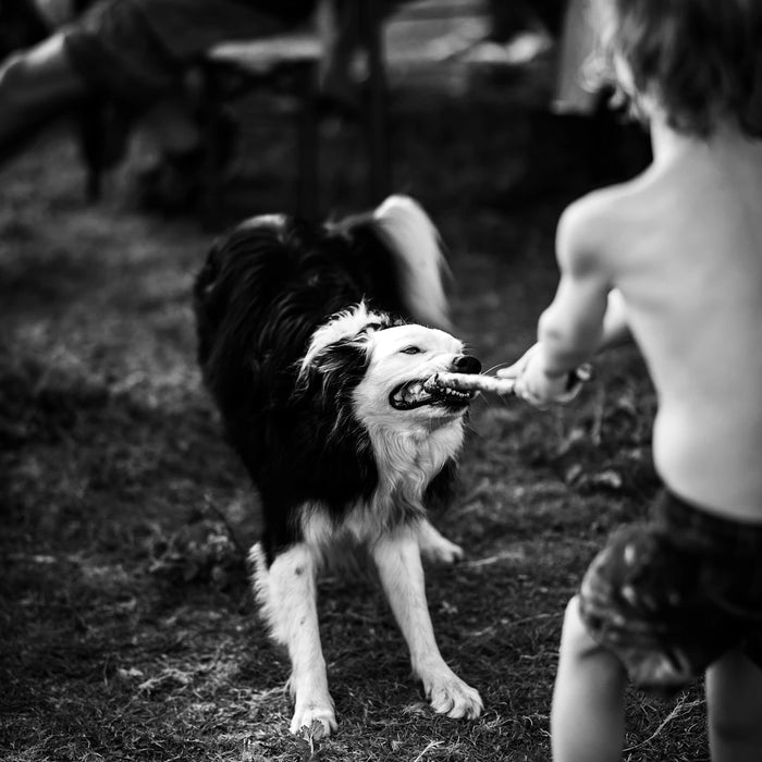 Unlocking Emotional Intelligence Through Playtime Fun