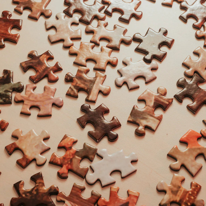Engaging 3D Wooden Puzzles for Interactive Learning