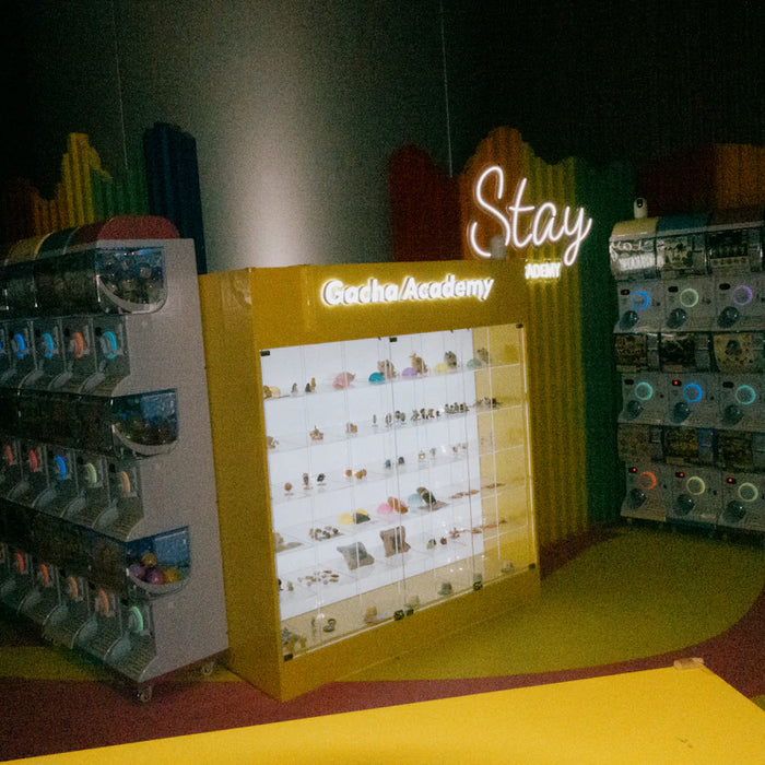 Crafting an Inspiring Learning Environment with Toys