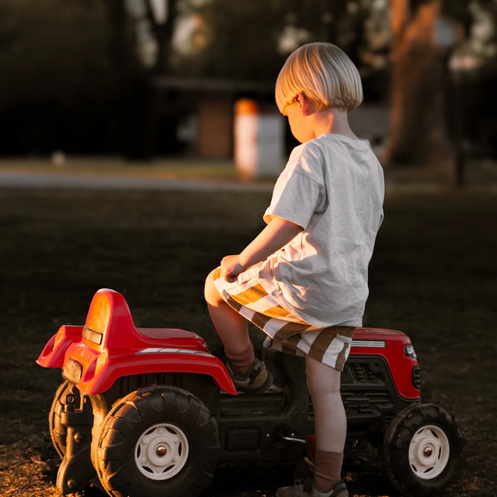 Unlocking the Fun Outdoor Play and Educative Toys