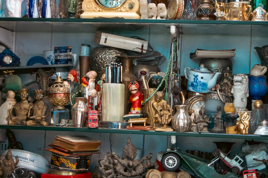 Engaging Educational Gifts for Curious Minds
