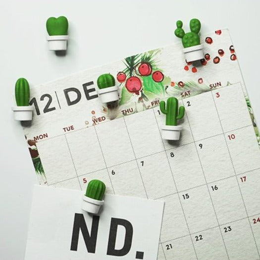 Cactus Magnets White Set of 6 Pcs | Fridge & Memo Board Magnets